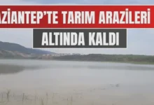 tarım arazisi tahliye - Türkbahçe'de Tarım Arazisi Suları Tahliye Edildi