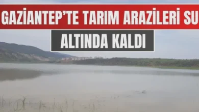tarım arazisi tahliye - Türkbahçe'de Tarım Arazisi Suları Tahliye Edildi