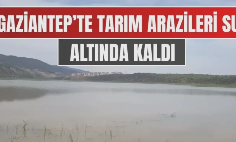 tarım arazisi tahliye - Türkbahçe'de Tarım Arazisi Suları Tahliye Edildi