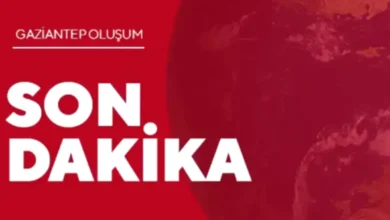 valizindeki skunk - Valizdeki Skunk Paniği: Antep Sınırında Yakalandı