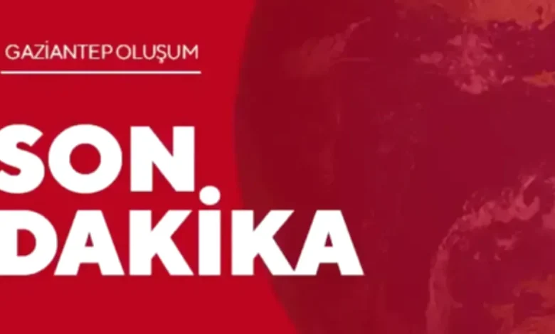 valizindeki skunk - Valizdeki Skunk Paniği: Antep Sınırında Yakalandı