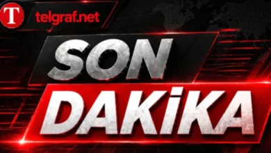 yıldırım evde - Yıldırım Evde Panik Yarattı!