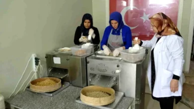 Yuvalama Girişimi - Yuvalama Mucizesi: Şahide Hanım'ın Girişimi