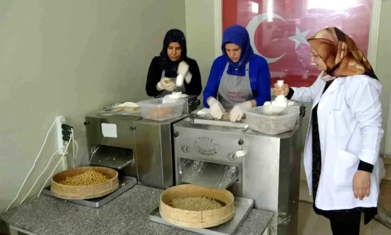 Yuvalama Girişimi - Yuvalama Mucizesi: Şahide Hanım'ın Girişimi