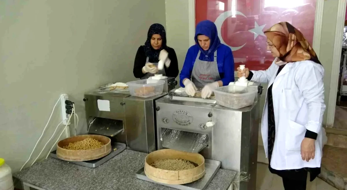 Yuvalama Mucizesi: Şahide Hanım'ın Girişimi