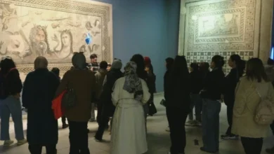 Zeugma mozaik ziyaretçi - Zeugma Mozaik Rekoru Kırıyor