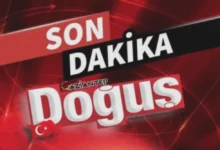 aile içi istismar - Aile Içi Istismar: Gaziantep'te Çileli Veda - İstismar Da...