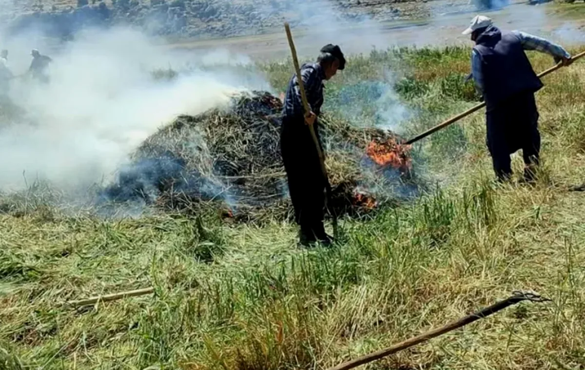 Araban Ovası'ndan Gelen Gelenek: Firik Zamanı!