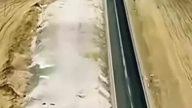 Araban yolu - Araban Yolu: Duble Hayat İstiyor