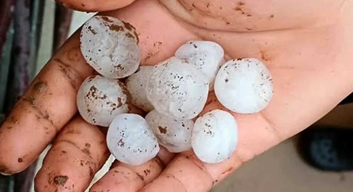 Araban'da Ani Dolu Fırtınası: Vatandaşlar Çaresiz