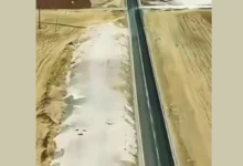 Araban duble yol - Araban'da Duble Yol Sorunu: Can Güvenliği Tehlikede