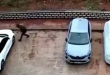 araç lastik patlatma - Araç Lastik Patlatma: Güneyşehir'de Araçlara Bıçaklı Sald...
