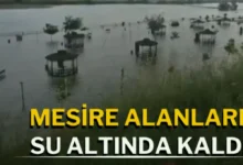 Gaziantep baraj taştı - Barajlar Taştı: Karkamış'ta Kontrollü Tahliye Başladı