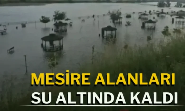Gaziantep baraj taştı - Barajlar Taştı: Karkamış'ta Kontrollü Tahliye Başladı
