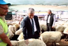 bayram nakdi destek - Bayram Nakdi Destek Gaziantep'te