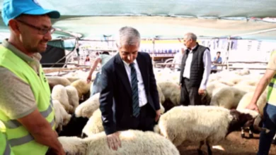 bayram nakdi destek - Bayram Nakdi Destek Gaziantep'te