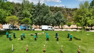 Gaziantep kurbanlık takibi - Bayramda Kurbanlık Hayvan Takibi: Gaziantep Hazır