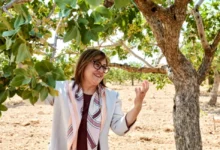 Besi OSB ulaşım - Besi OSB'ye Fatma Şahin'den Ulaşım Müjdesi