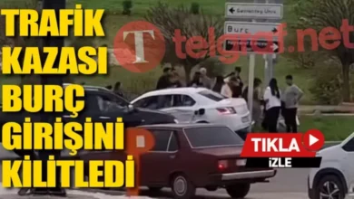 Burç Ormanı kaza - Burç Ormanı: Kaza Sırrı Çözülüyor Mu?