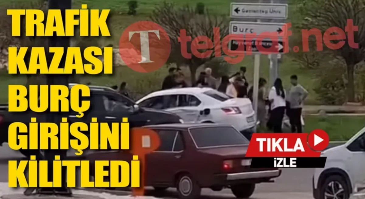 Burç Ormanı: Kaza Sırrı Çözülüyor Mu?
