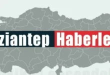 çapraz nakil - Çapraz Nakil: Gaziantep'te Yeni Hayatlar