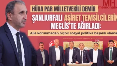 aile kurumu tehlikede - Demir: Aile Kurumu Tehlikede, Çözüm Şart