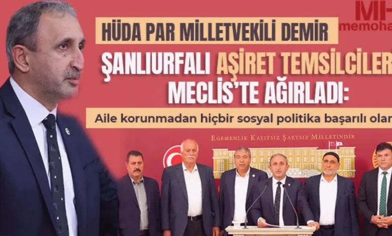 aile kurumu tehlikede - Demir: Aile Kurumu Tehlikede, Çözüm Şart