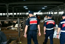 dronlar güvenlik - Dronlar Kurban Pazarlarında Güvenlik Tarczyası