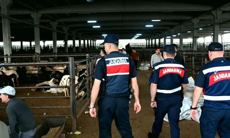 dronlar güvenlik - Dronlar Kurban Pazarlarında Güvenlik Tarczyası