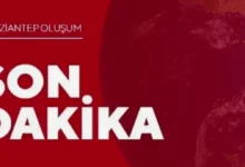 akraba kavgası - Elifoğlu'nda Akraba Kavgası: 3 Yaralı
