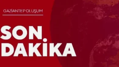 akraba kavgası - Elifoğlu'nda Akraba Kavgası: 3 Yaralı