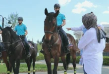 Atlı Birlikler Galle Park - Galle Park'ta Atlı Birlikler: Gaziantep'te Farklı Bir Esinti