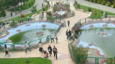 Gaziantep Hayvanat Bahçesi - Gaziantep Hayvanat Bahçesi: Bayramın Gözdesi