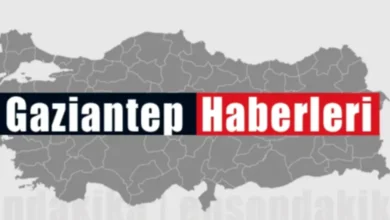 Gaziantep karateci - Gaziantepli Karateci Altın Hedefliyor