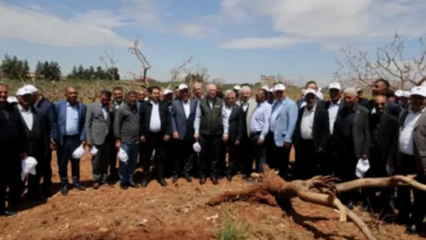 Gaziantep fıstık zararı - Gaziantep'te Fıstık Zararı: Çiftçiler Destek Bekliyor