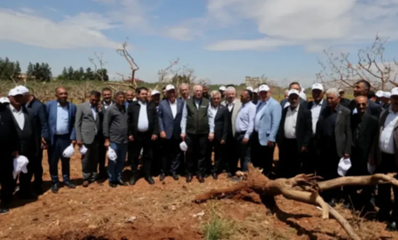 Gaziantep fıstık zararı - Gaziantep'te Fıstık Zararı: Çiftçiler Destek Bekliyor