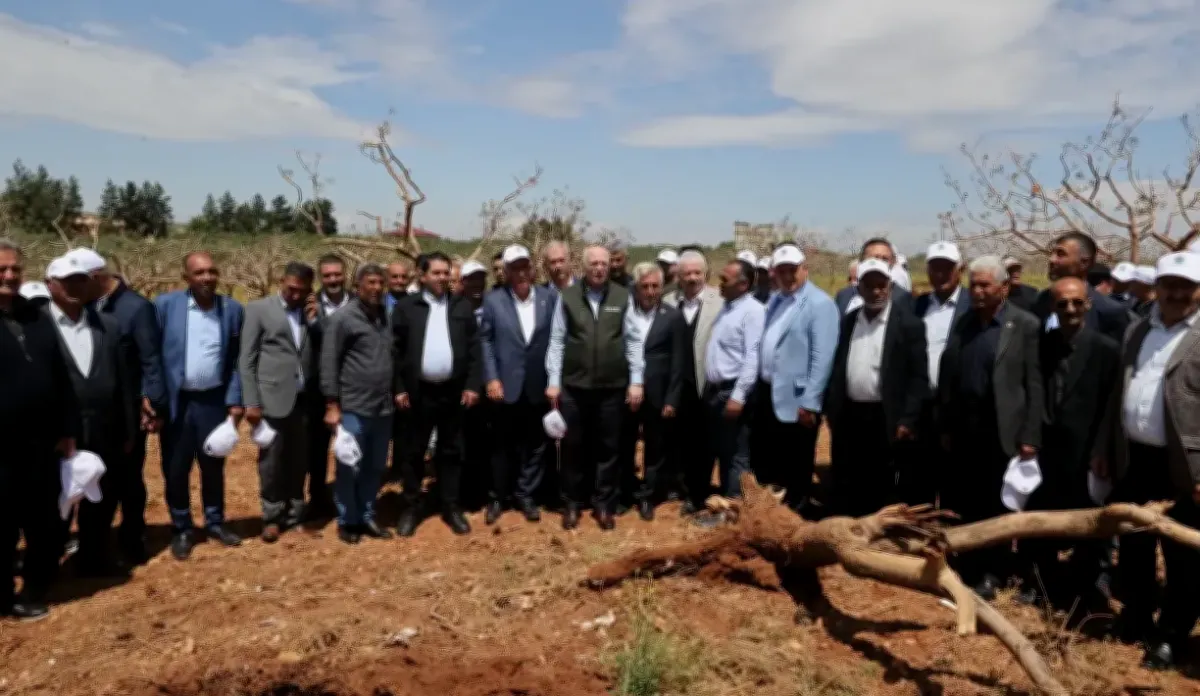 Gaziantep'te Fıstık Zararı: Çiftçiler Destek Bekliyor