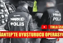Gaziantep uyuşturucu - Gaziantep'te Narkotik: Kenevir ve Skunk Ele Geçti