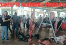 hastalıklı kurban etleri - Hastalıklı Kurban Etleri: Kim Sorumlu?