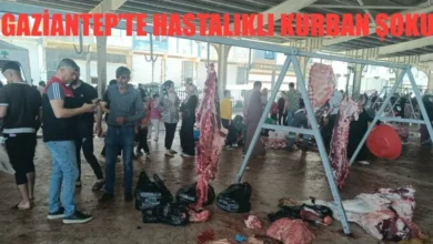 hastalıklı kurban etleri - Hastalıklı Kurban Etleri: Kim Sorumlu?