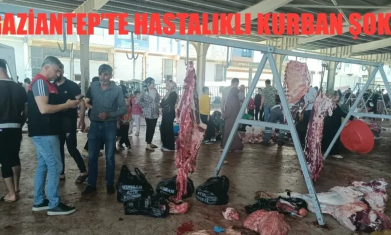 hastalıklı kurban etleri - Hastalıklı Kurban Etleri: Kim Sorumlu?