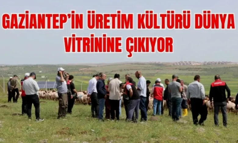 İpek Yolu Kervanı Gaziantep - İpek Yolu Kervanı Gaziantep'te Doğa Mirasını Tanıttı