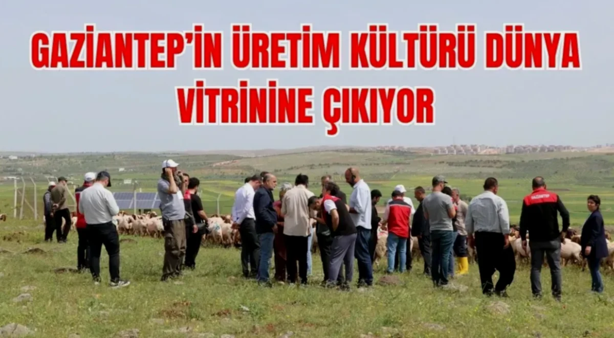 İpek Yolu Kervanı Gaziantep'te Doğa Mirasını Tanıttı