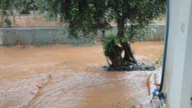 İslahiye sel zararı - İslahiye'de Selin İzleri: Vural Ne Dedi?