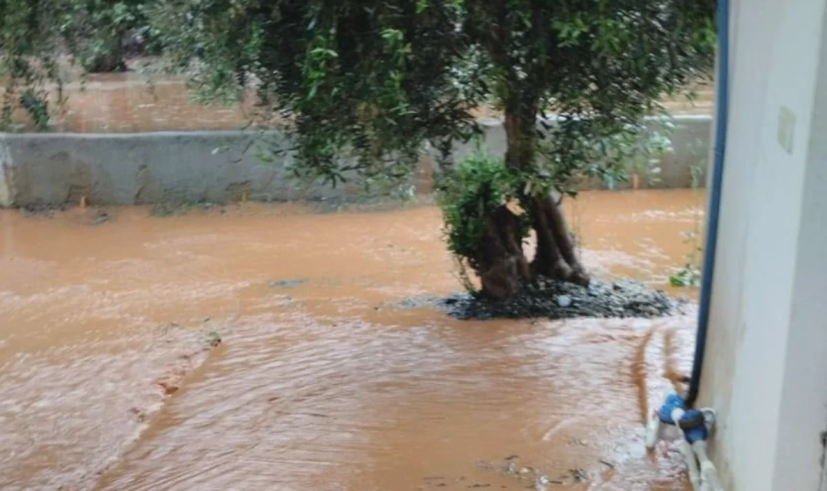 İslahiye'de Selin İzleri: Vural Ne Dedi?
