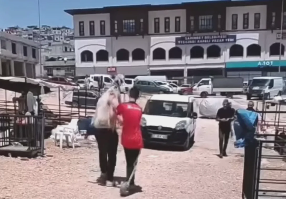 Kurbanlık Sırtında: Gaziantep'te Ekonomik Çözüm