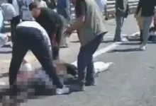 kurbanlık kaza Gaziantep - Kurbanlık Yüklü Kazada Acı Son