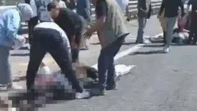 kurbanlık kaza Gaziantep - Kurbanlık Yüklü Kazada Acı Son