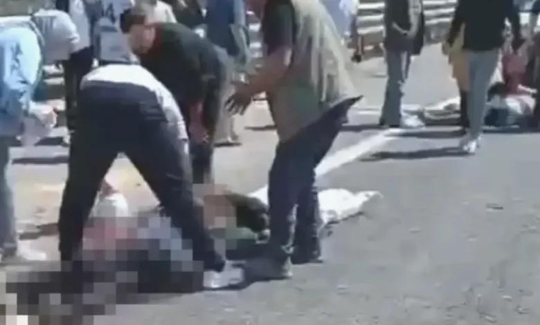kurbanlık kaza Gaziantep - Kurbanlık Yüklü Kazada Acı Son