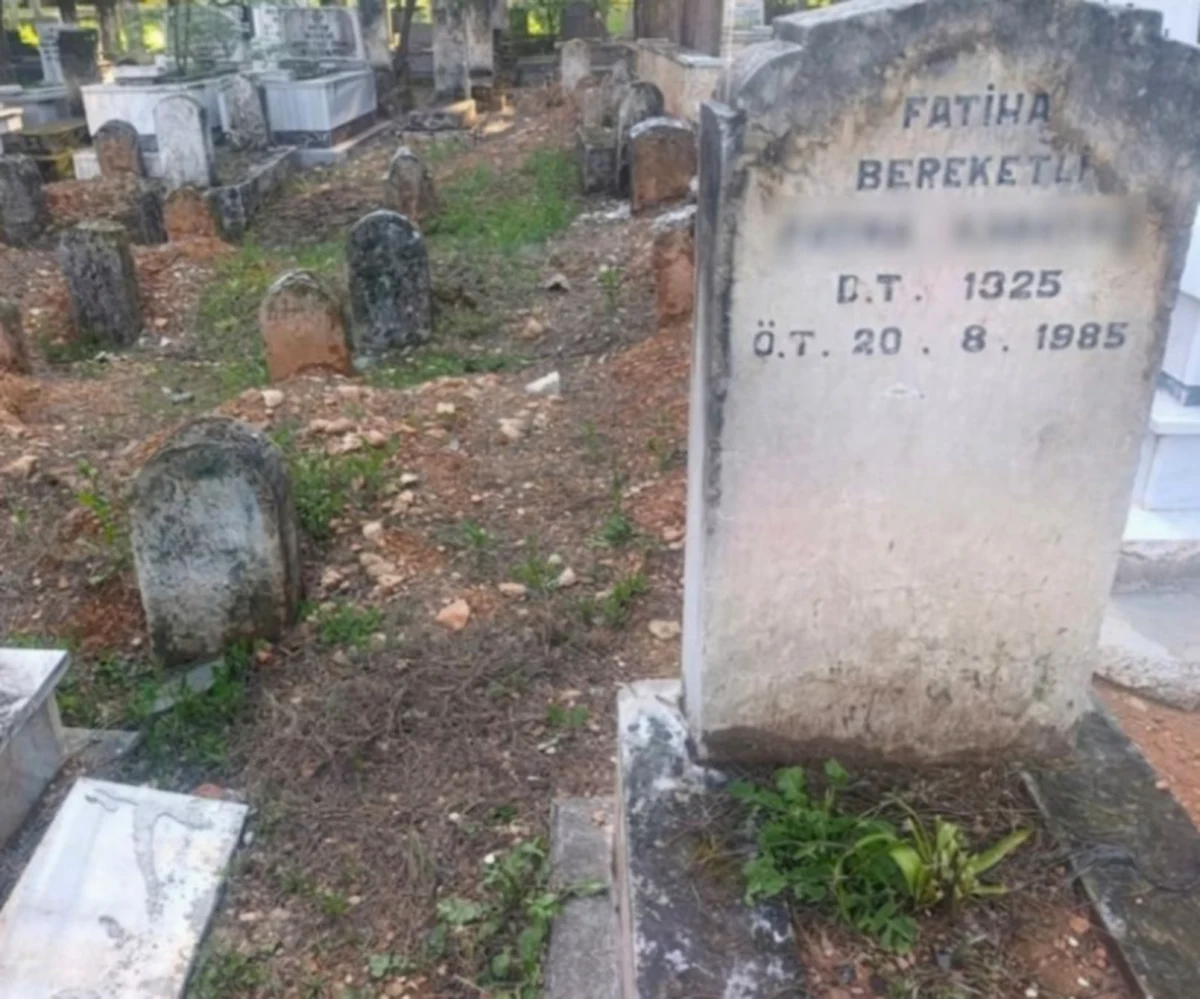 Mezarlık Gizemi: 660 Yıllık Sırlar Ortaya Çıkıyor!